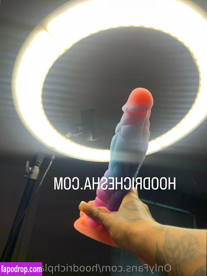 hoodrichplayhouse / hoodrathollyofficial leak of nude photo #0057 from OnlyFans or Patreon