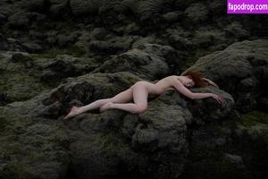 Icelandic Selkie photo #0388