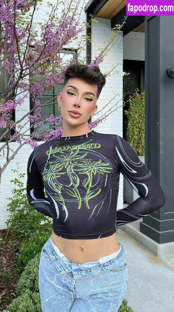 James Charles / jamescharles leak of nude photo #0018 from OnlyFans or Patreon