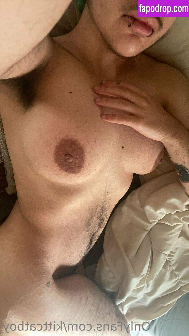 kittcatboy / certifiedcatboykit leak of nude photo #0032 from OnlyFans or Patreon