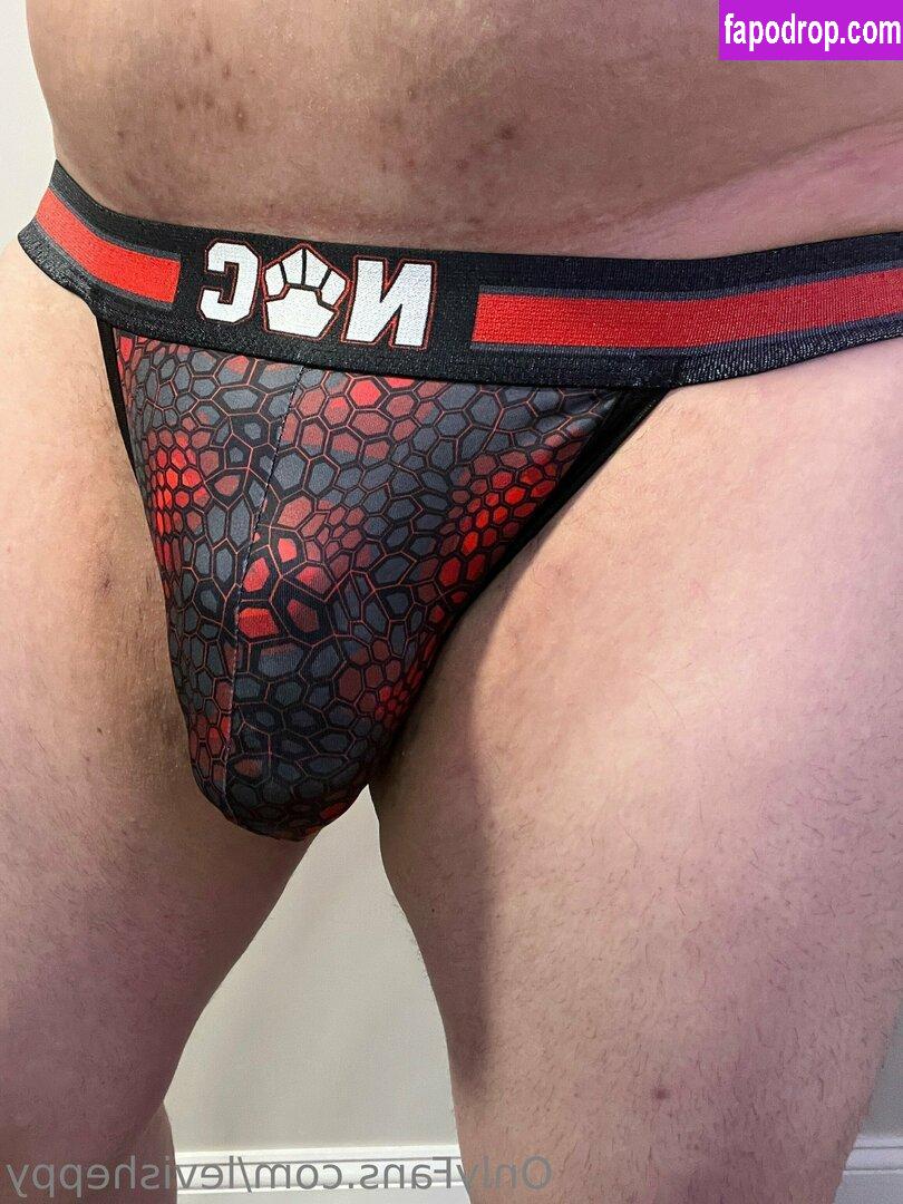 levisheppy / thesillygsd leak of nude photo #0016 from OnlyFans or Patreon