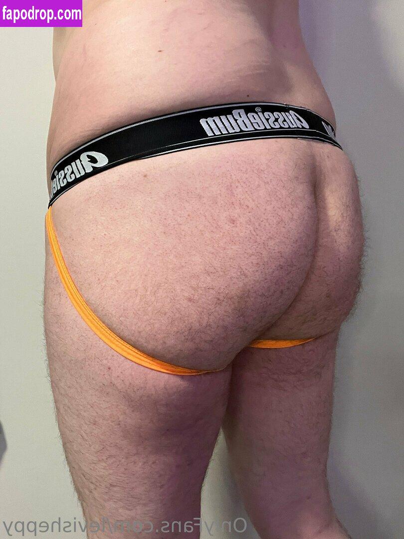 levisheppy / thesillygsd leak of nude photo #0032 from OnlyFans or Patreon