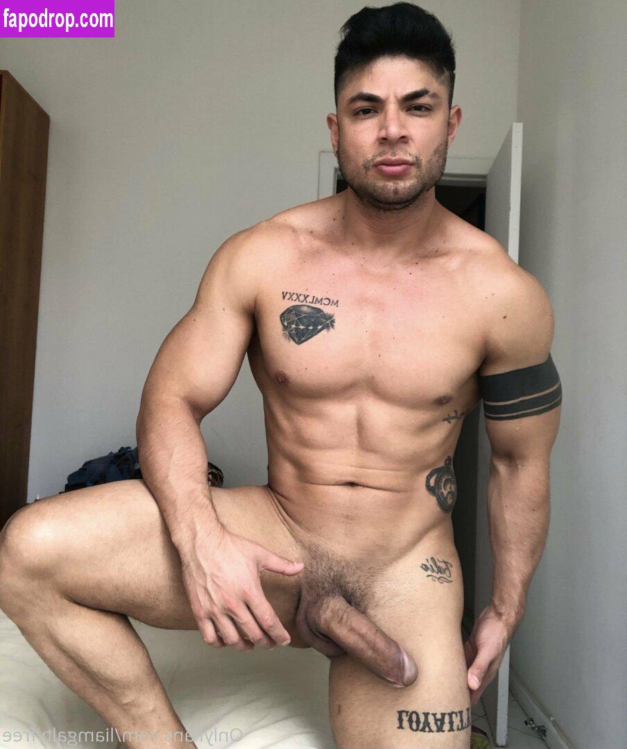 liamgaltyfree / lightskinlovin leak of nude photo #0022 from OnlyFans or Patreon