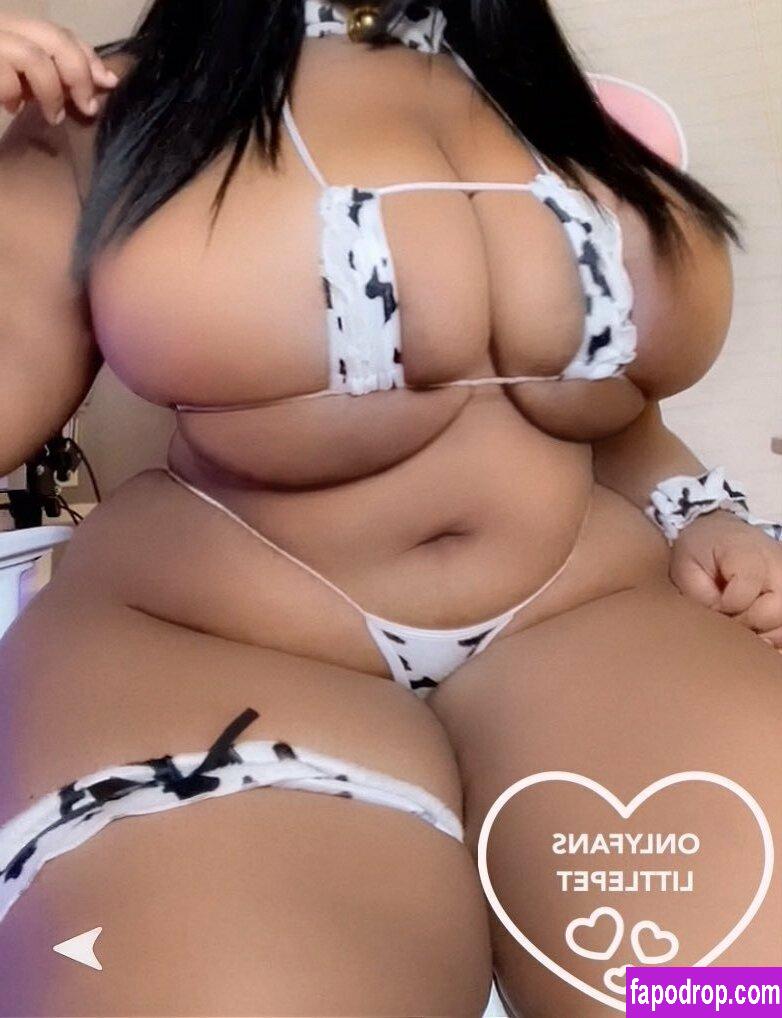 littlepet /  leak of nude photo #0066 from OnlyFans or Patreon