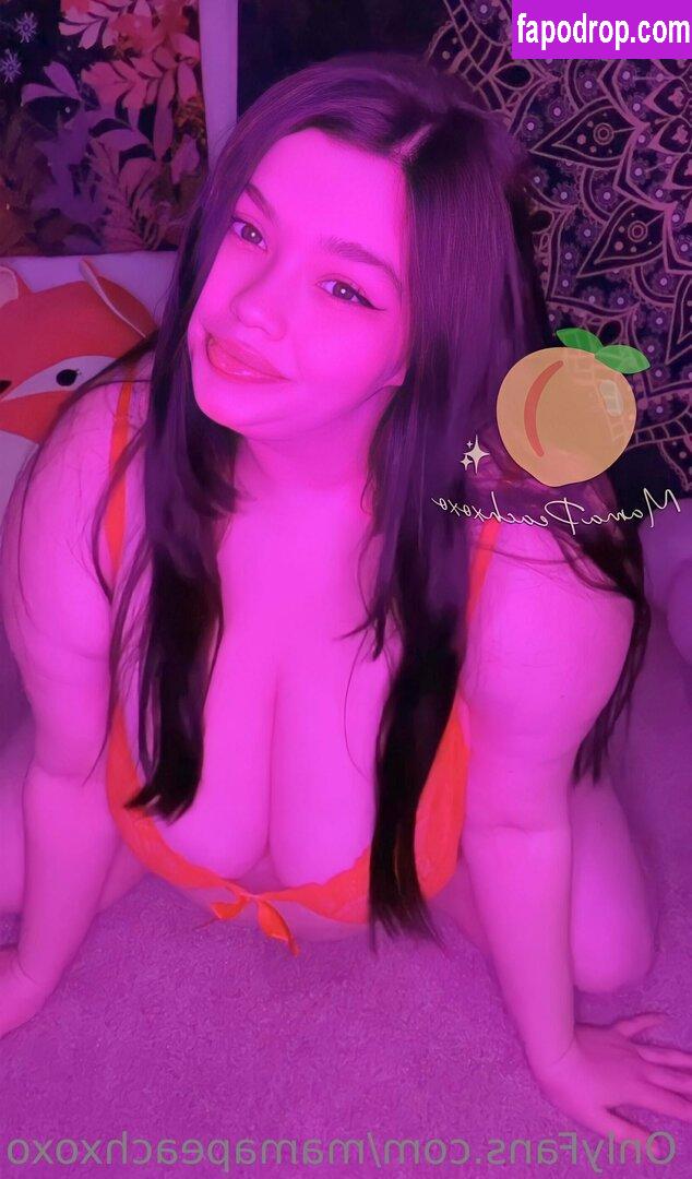 mamapeachxoxo / lilpeachymama leak of nude photo #0059 from OnlyFans or Patreon