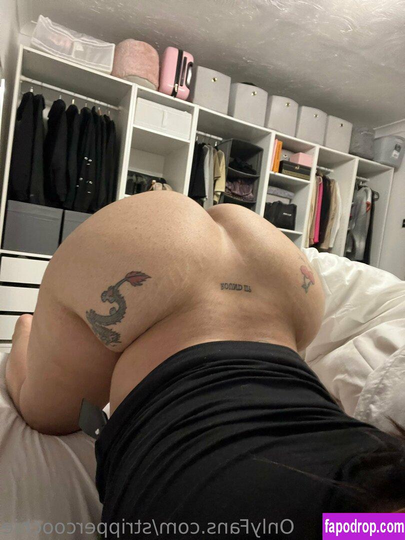 Mel Farahmand / strippercoochie / thestripperml leak of nude photo #0045 from OnlyFans or Patreon