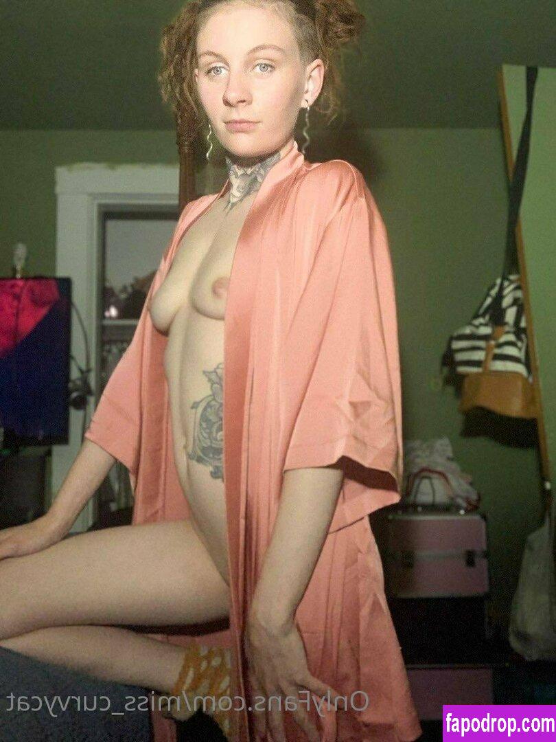 miss_curvycat / misscurvykat leak of nude photo #0016 from OnlyFans or Patreon