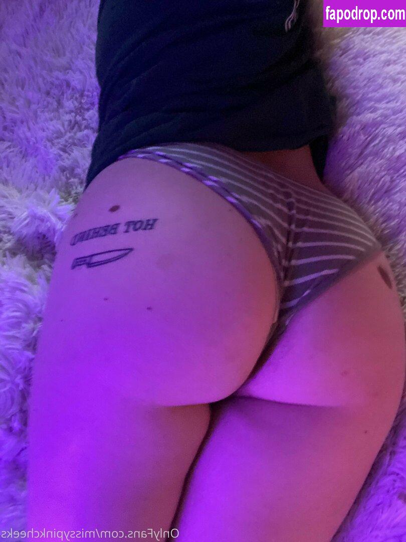 Missy Pink Cheeks /  leak of nude photo #0036 from OnlyFans or Patreon