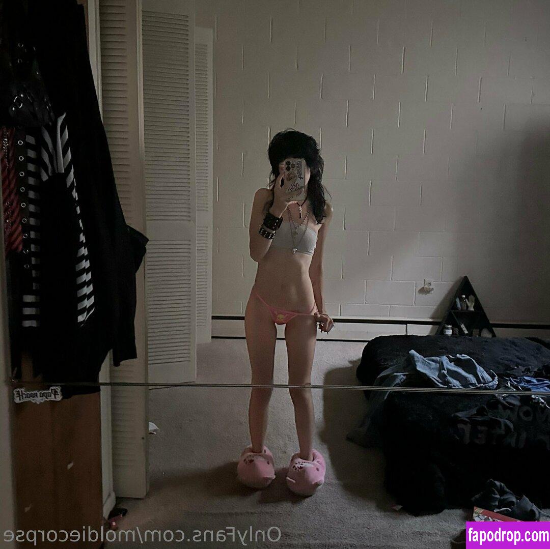 moldiecorpse /  leak of nude photo #0068 from OnlyFans or Patreon