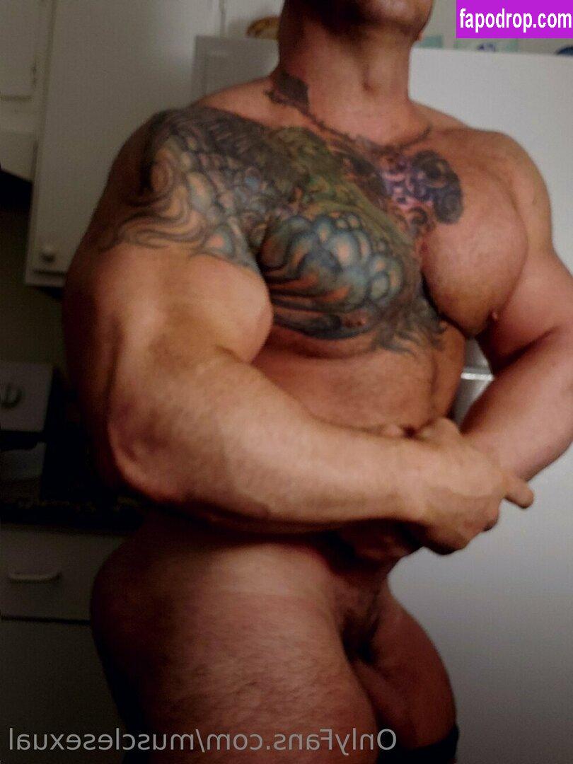 musclesexual /  leak of nude photo #0061 from OnlyFans or Patreon