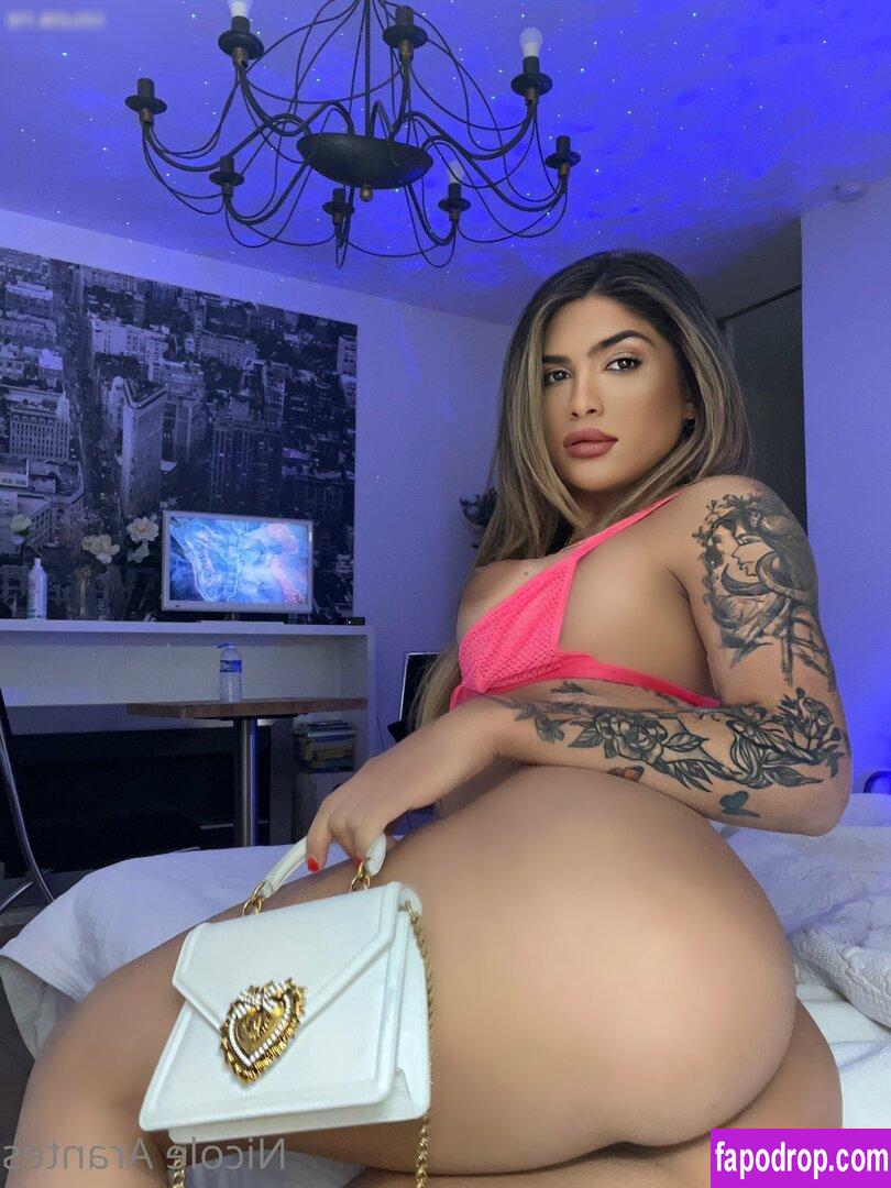 nicki_arantes /  leak of nude photo #0003 from OnlyFans or Patreon