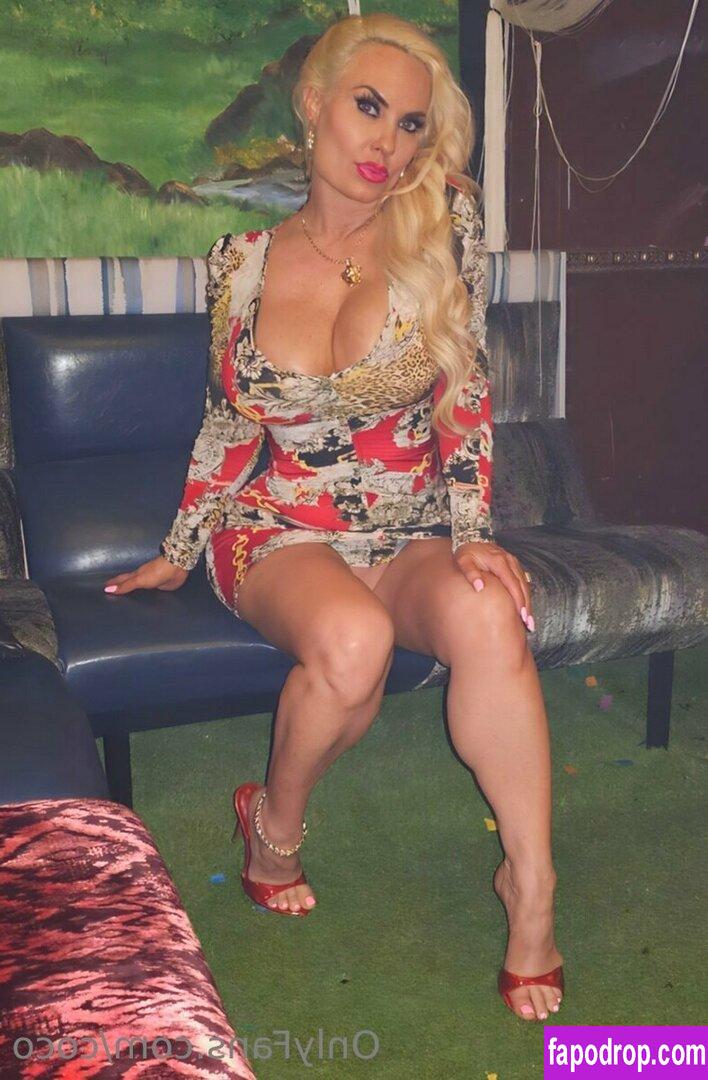 https://fapodrop.com/images/n/i/nicole-coco-austin/1/photo/nicole-coco-austin_0522.jpeg