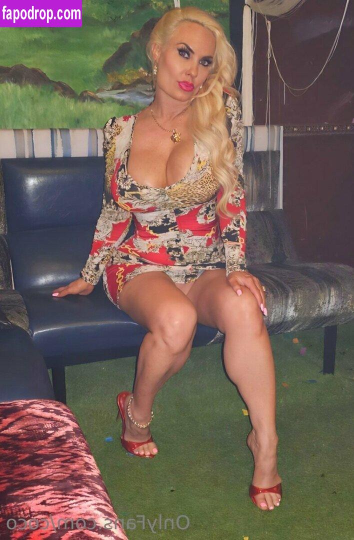 https://fapodrop.com/images/n/i/nicole-coco-austin/1/photo/nicole-coco-austin_0822.jpeg