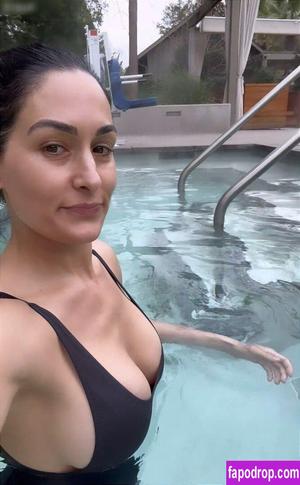 Nikki Bella photo #0085