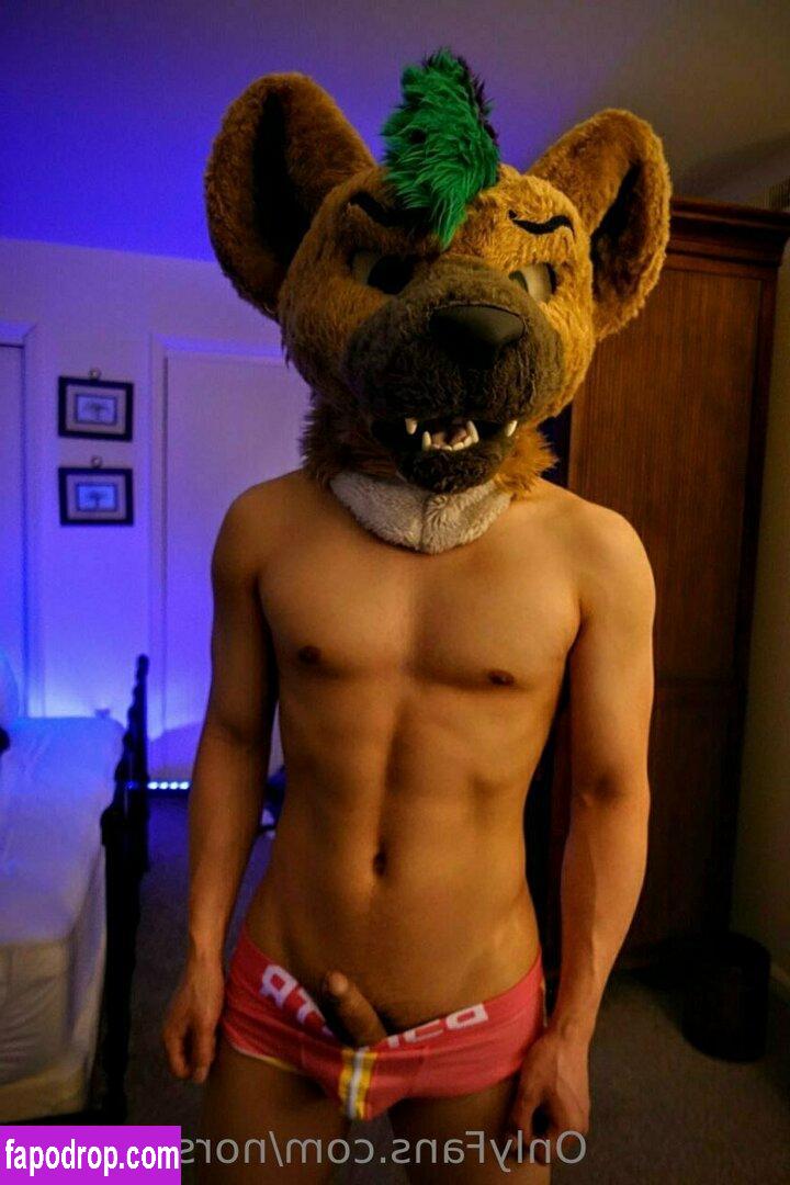 norsehyena / wasenaz leak of nude photo #0018 from OnlyFans or Patreon