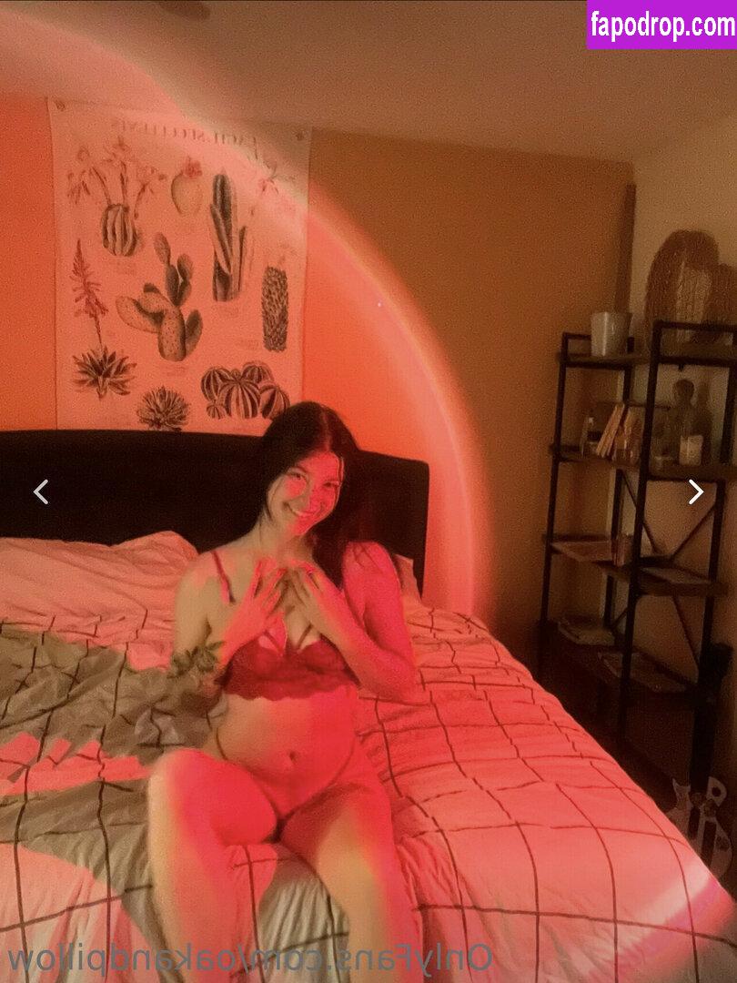 OakandPillow / oakwillow_ leak of nude photo #0008 from OnlyFans or Patreon