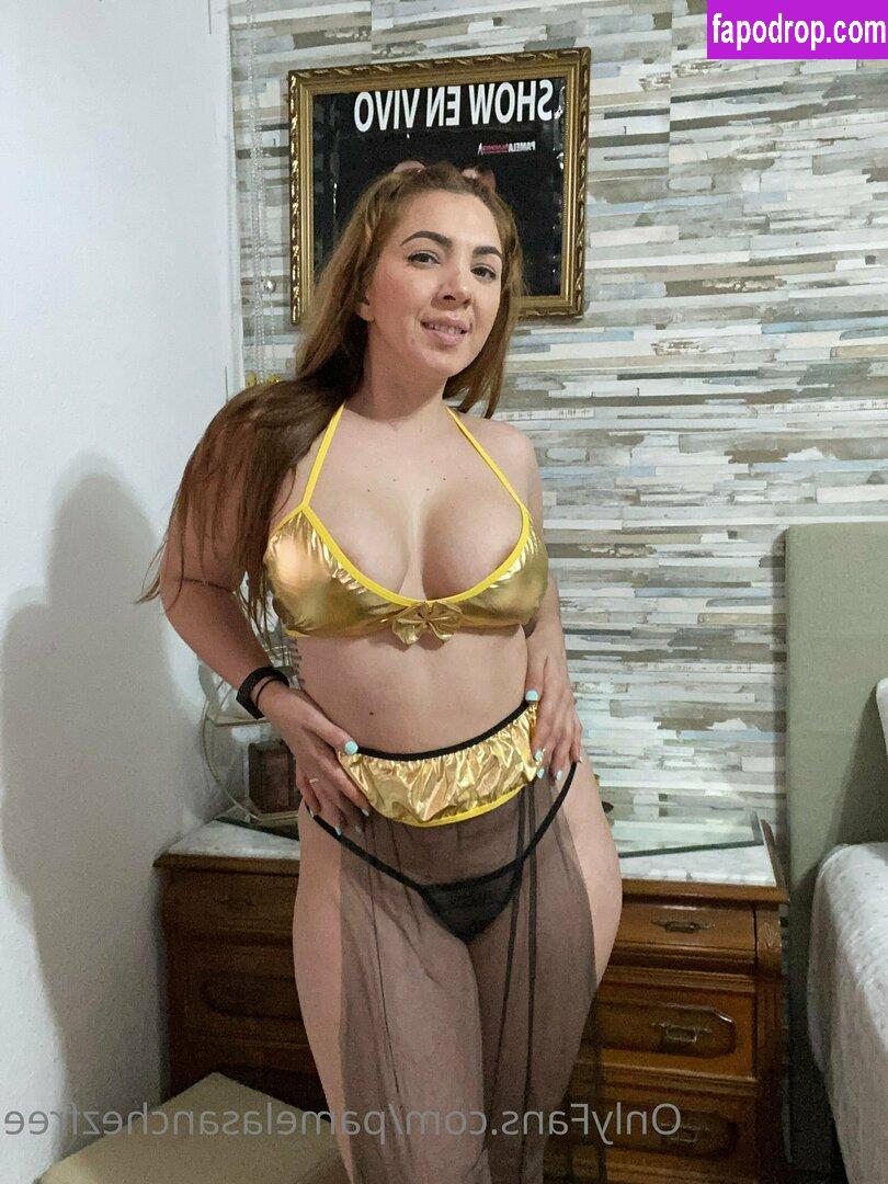 pamelasanchezfree / patfreeman_ leak of nude photo #0041 from OnlyFans or Patreon