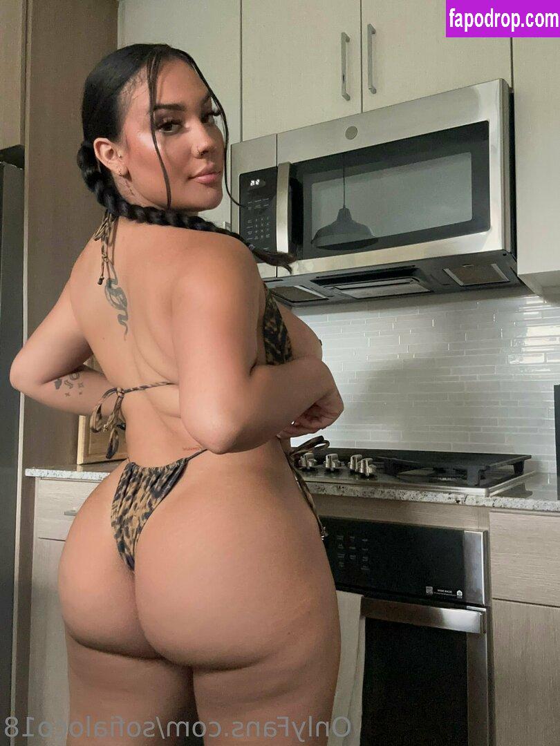 Paymedaddy-21 / Sofyloco / sofiaisloco / soflocovip leak of nude photo #0007 from OnlyFans or Patreon