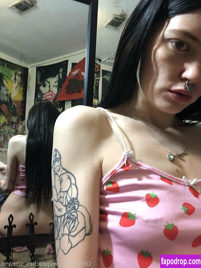 peacheyscreams / peachusncream leak of nude photo #0066 from OnlyFans or Patreon