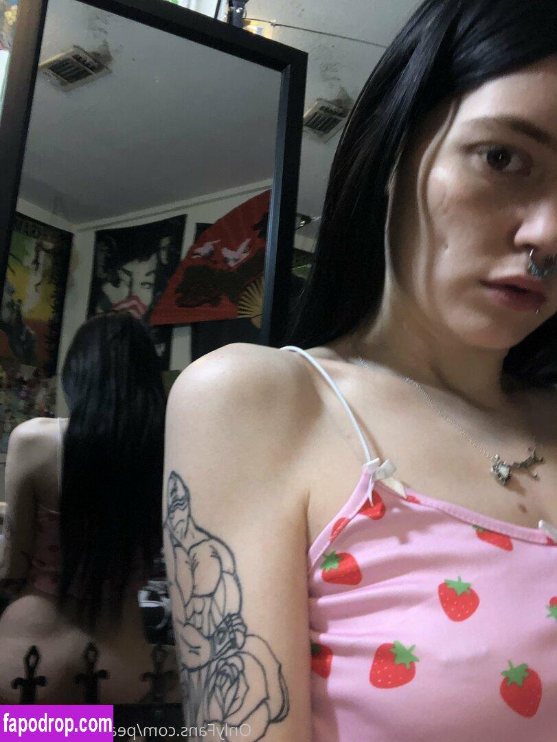 peacheyscreams / peachusncream leak of nude photo #0067 from OnlyFans or Patreon