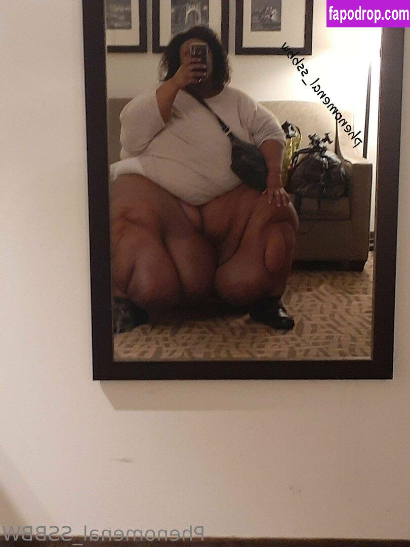 phenomenal_ssbbw / therealbbwlover4real__ leak of nude photo #0066 from OnlyFans or Patreon