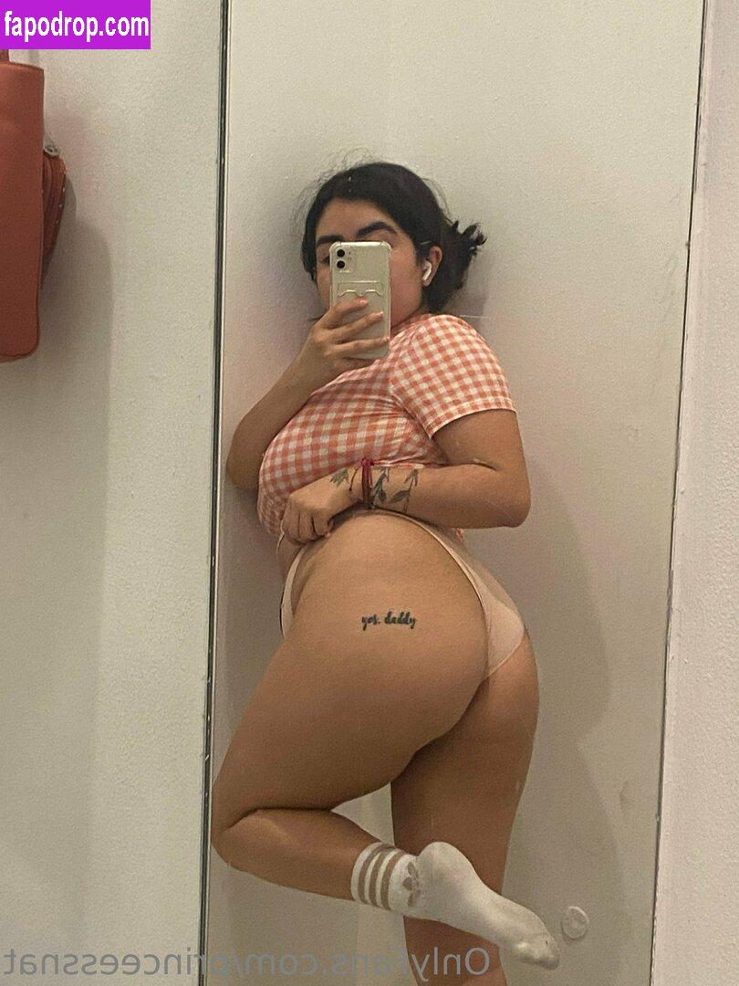 princeessnat /  leak of nude photo #0009 from OnlyFans or Patreon