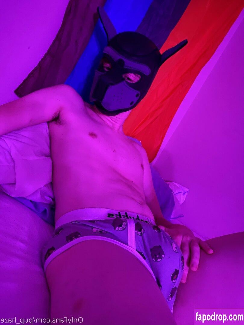 pup_haze /  leak of nude photo #0029 from OnlyFans or Patreon