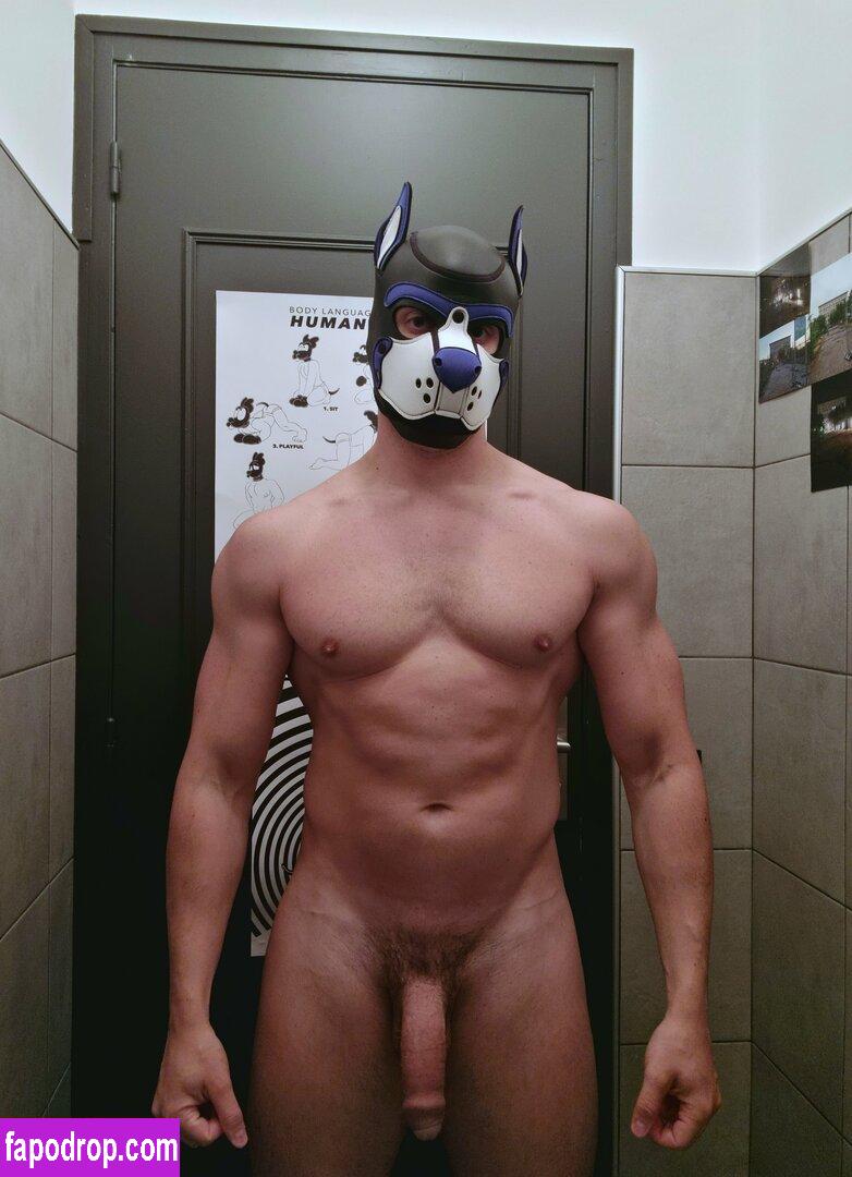pupbuday / pup_buday leak of nude photo #0013 from OnlyFans or Patreon