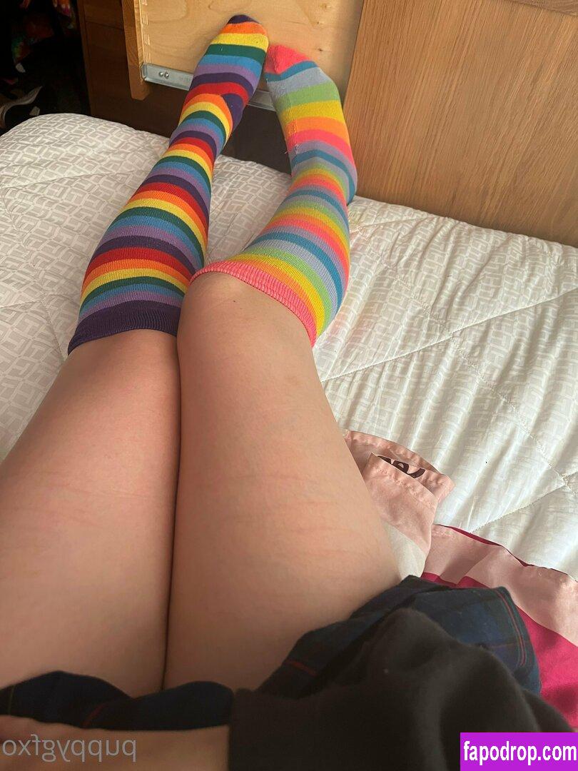 puppygfxo / puppies_ooo leak of nude photo #0055 from OnlyFans or Patreon