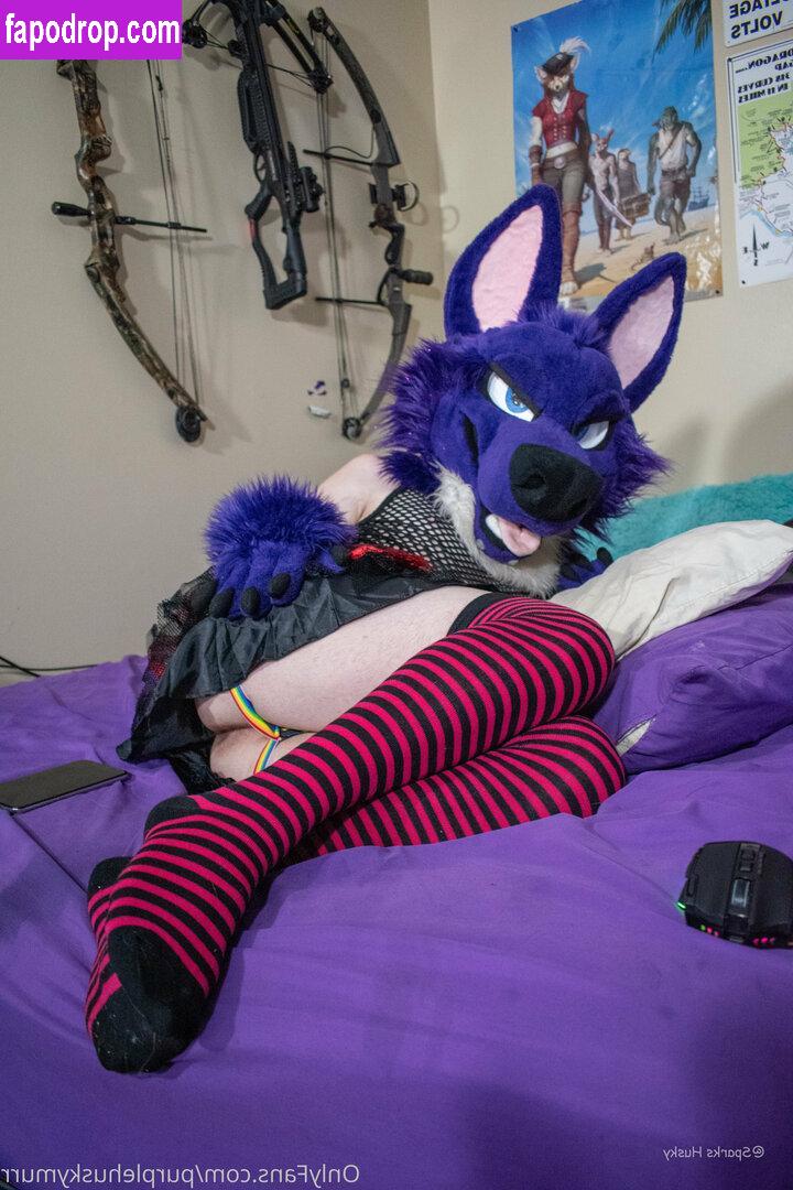 purplehuskymurr / purplehusky leak of nude photo #0019 from OnlyFans or Patreon