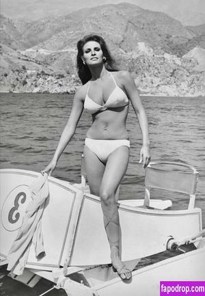 Raquel Welch слив #0095