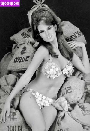 Raquel Welch слив #0096