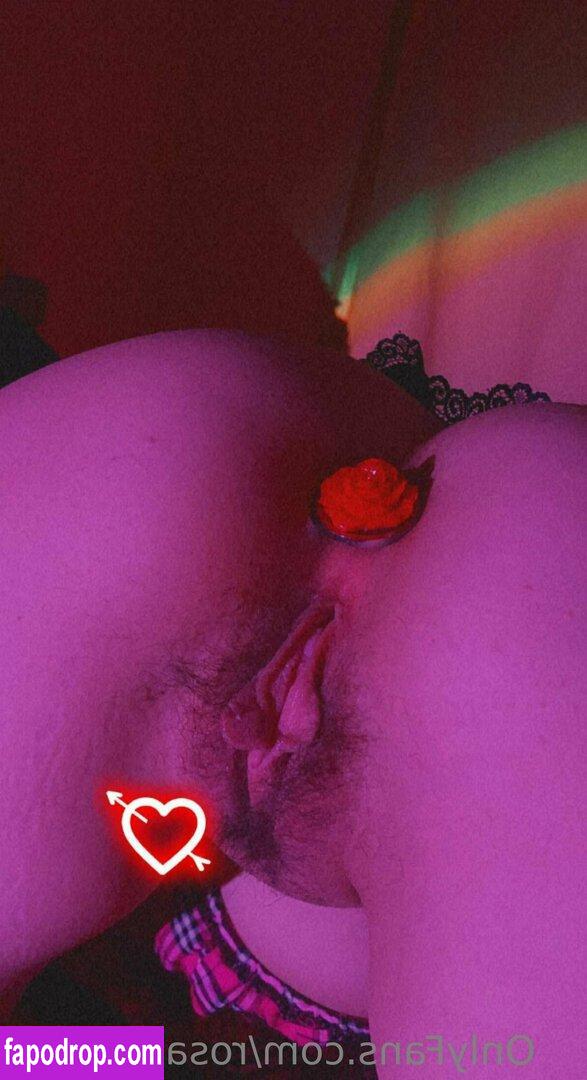 rosarosebud / rosarosebudxo leak of nude photo #0028 from OnlyFans or Patreon