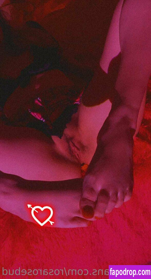 rosarosebud / rosarosebudxo leak of nude photo #0030 from OnlyFans or Patreon