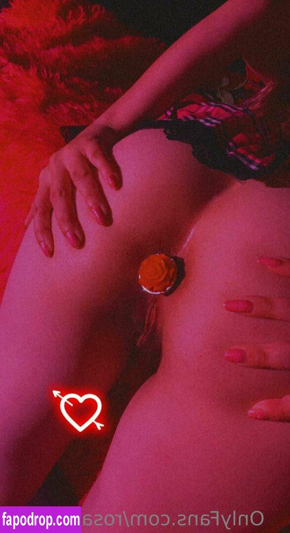 rosarosebud / rosarosebudxo leak of nude photo #0031 from OnlyFans or Patreon