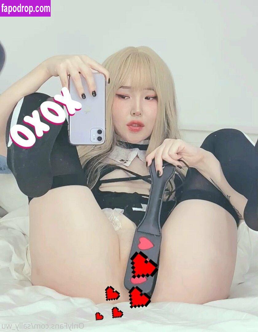 sally_wu / sally_wu666 leak of nude photo #0059 from OnlyFans or Patreon