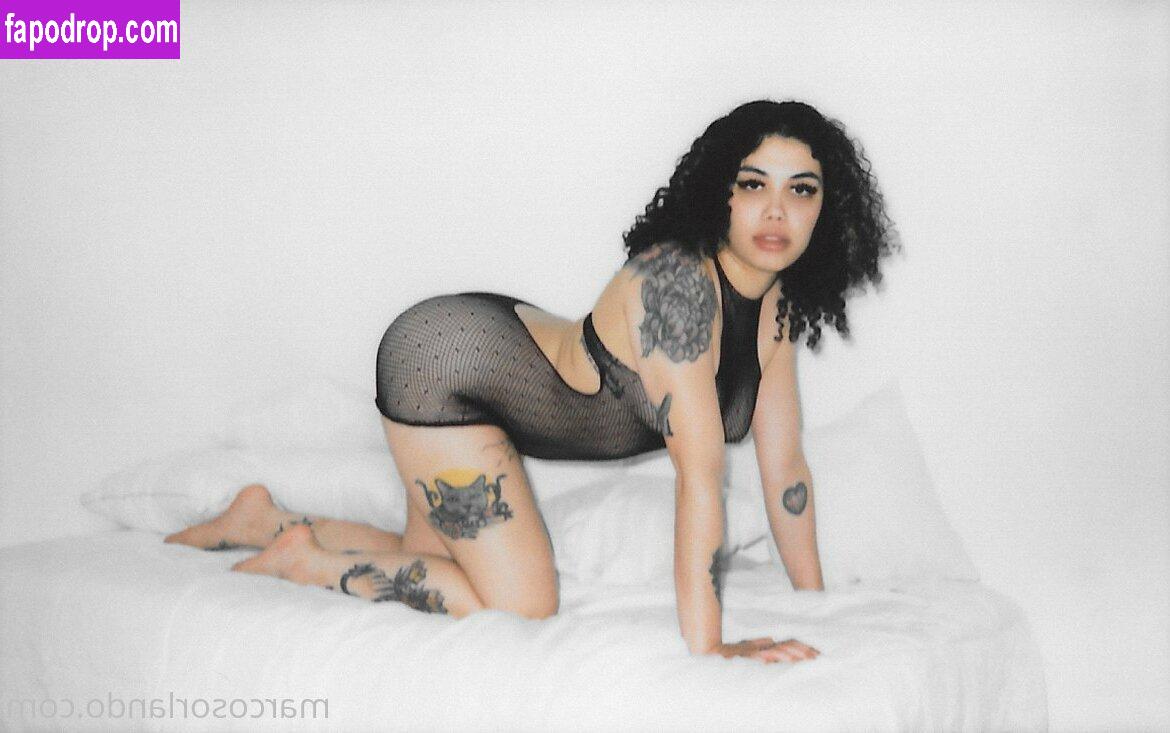 scarcebrand / scarceofficial leak of nude photo #0005 from OnlyFans or Patreon
