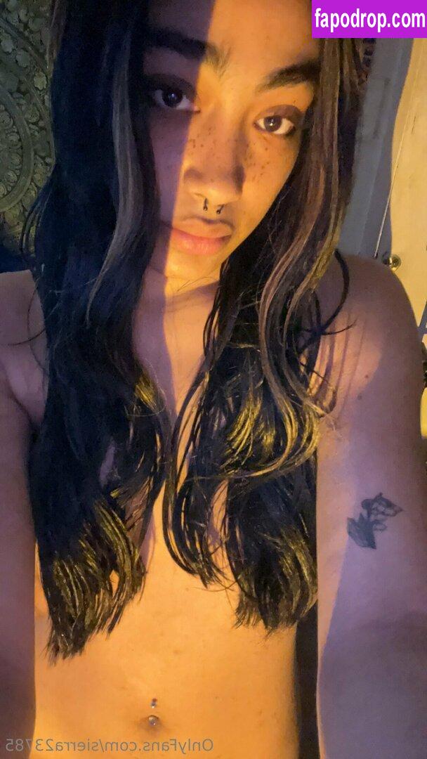 sierra23785 /  leak of nude photo #0046 from OnlyFans or Patreon