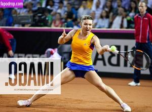 Simona Halep фото #0101