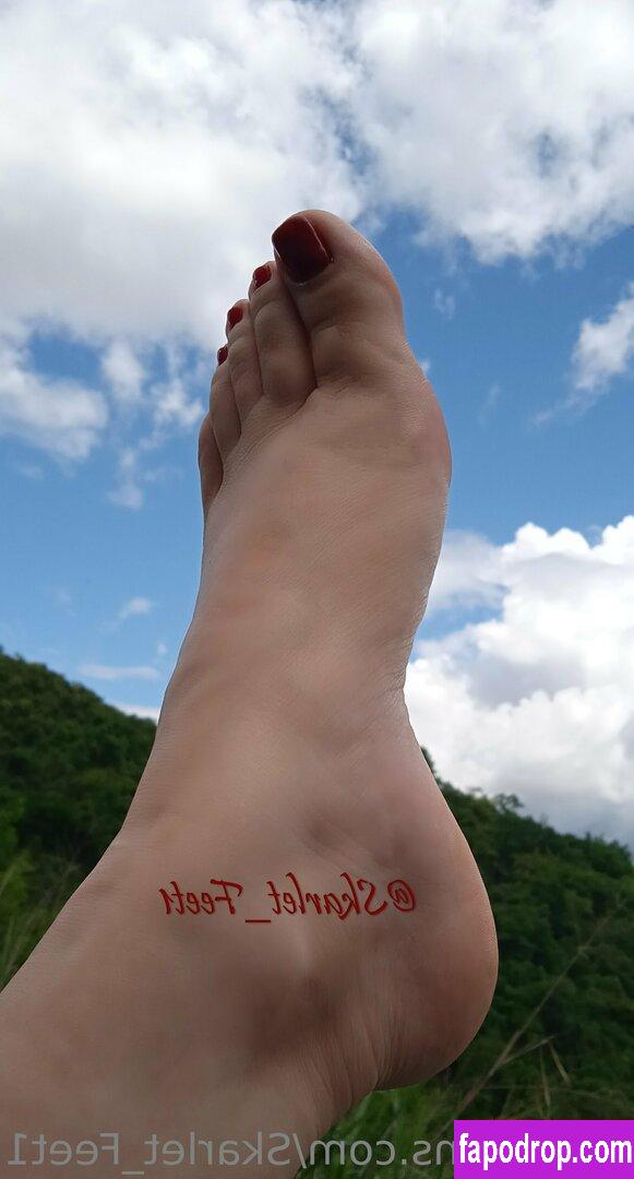 skarlet_feet1 /  leak of nude photo #0056 from OnlyFans or Patreon