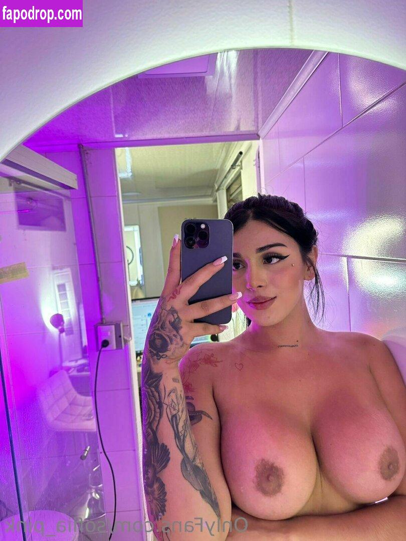 sofiia_pink /  leak of nude photo #0003 from OnlyFans or Patreon