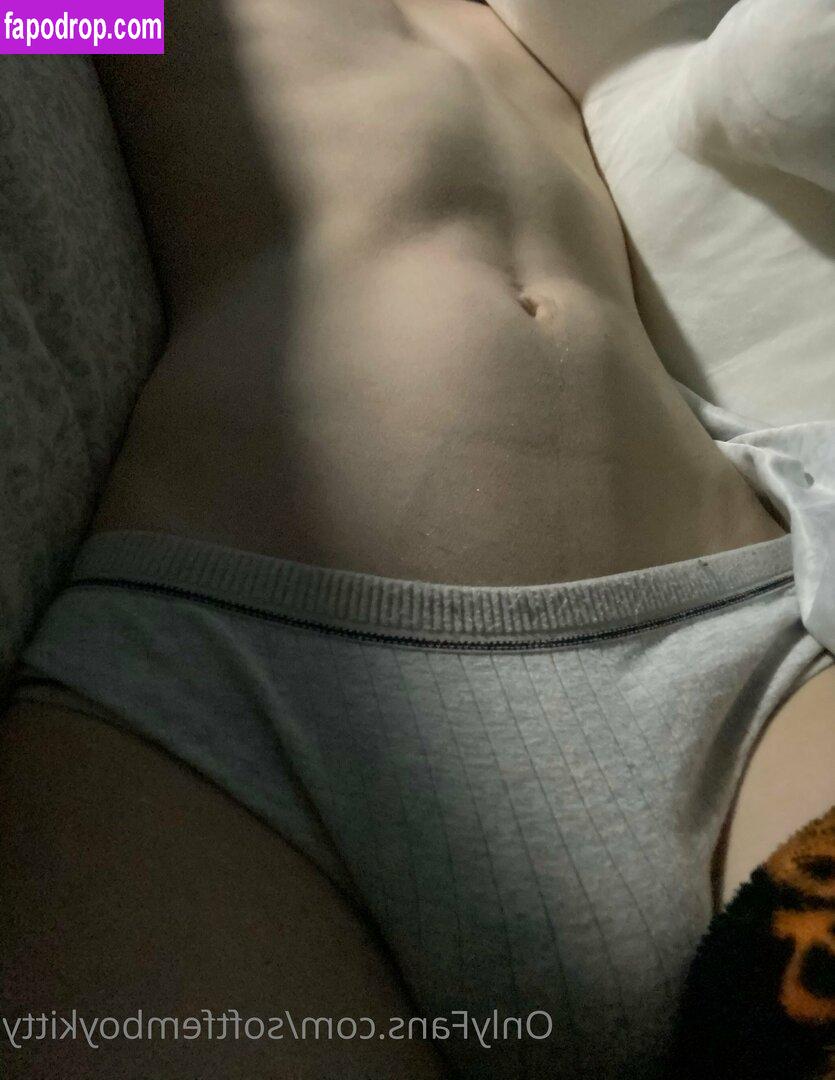 softfemininekitty / sha_nna_cute leak of nude photo #0018 from OnlyFans or Patreon