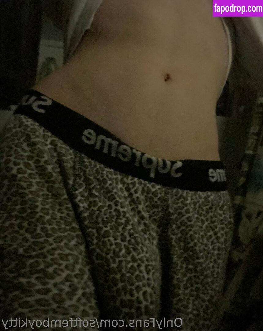 softfemininekitty / sha_nna_cute leak of nude photo #0021 from OnlyFans or Patreon