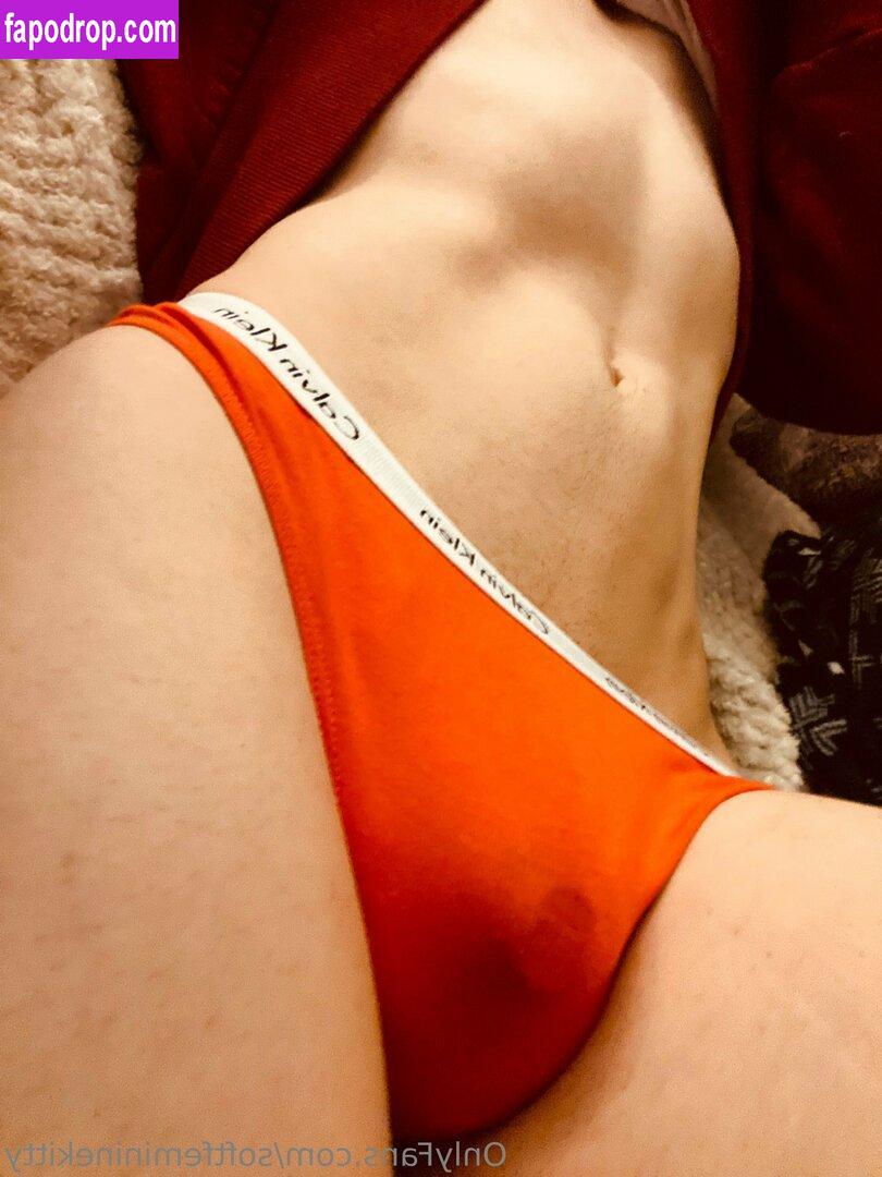 softfemininekitty / sha_nna_cute leak of nude photo #0027 from OnlyFans or Patreon