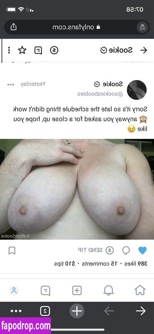 SookieCookiie / sookiesboobies leak of nude photo #0026 from OnlyFans or Patreon