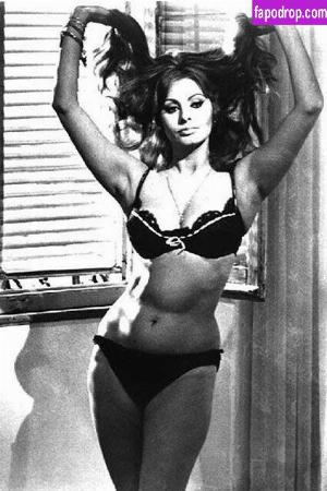 Sophia Loren photo #0022