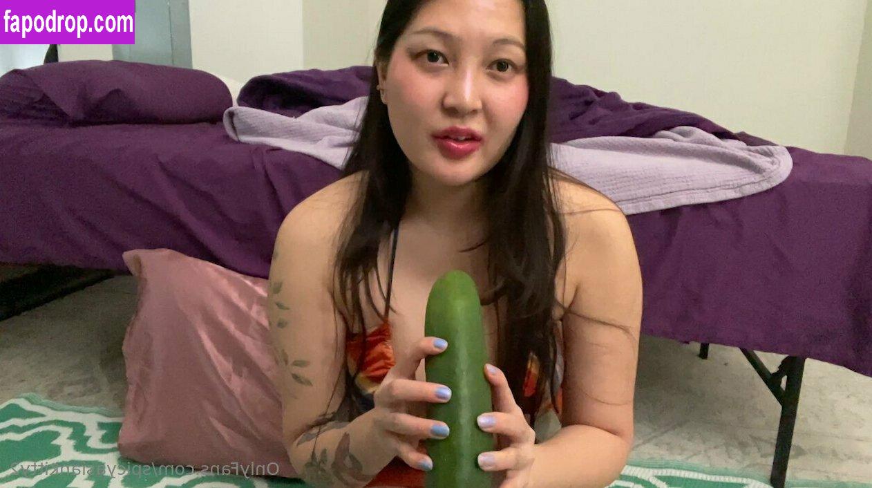 spicyasiankitty2 / spicyasiankittyxo leak of nude photo #0033 from OnlyFans or Patreon