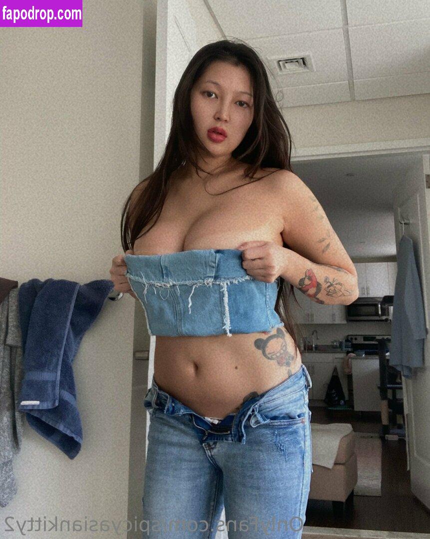 spicyasiankitty2 / spicyasiankittyxo leak of nude photo #0040 from OnlyFans or Patreon