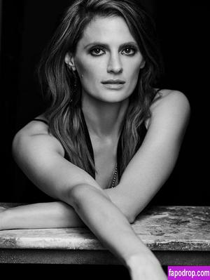 Stana Katic photo #0087