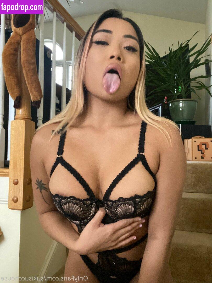 Sukisucchouse / Dionnegabriellee leak of nude photo #0019 from OnlyFans or Patreon